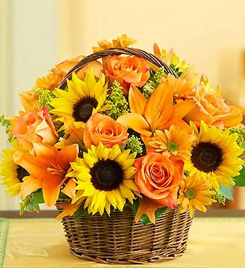Field of Europe For Fall Basket - Click Image to Close
