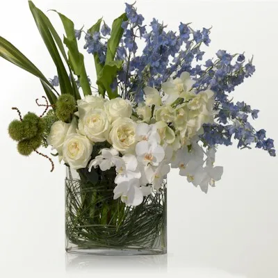 The Blue And White Arrangement - Click Image to Close