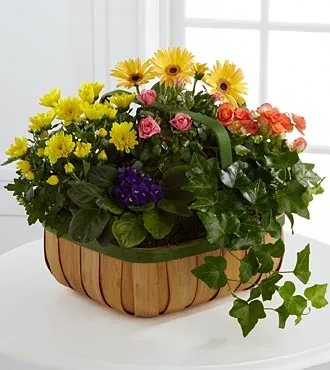 Gentle Blossoms Basket - Click Image to Close