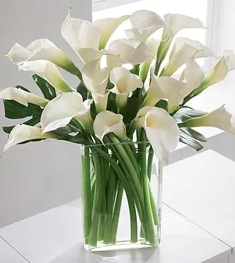 Simplicity Luxury Calla Lily Bouquet - Click Image to Close
