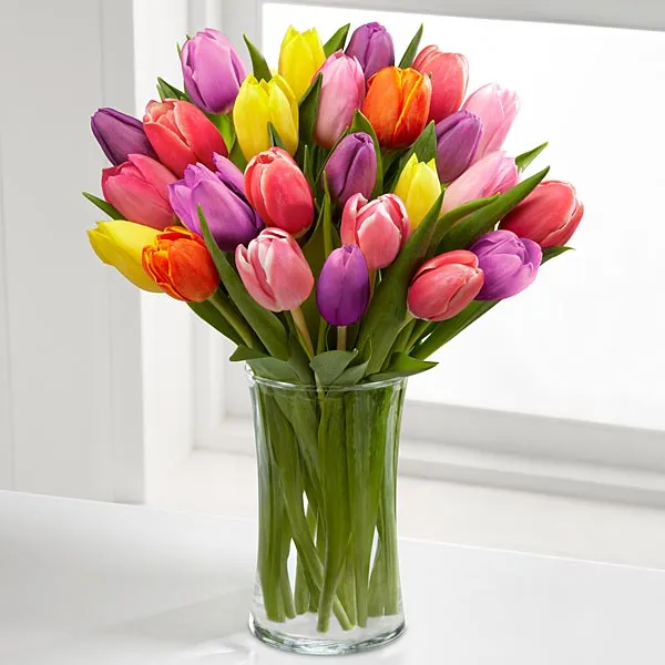 Rush of Color Assorted Tulip Bouquet - 25 assorted Tulips - Click Image to Close