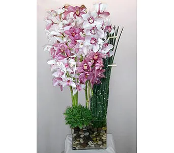 Orchid Dream Bouquet - Click Image to Close