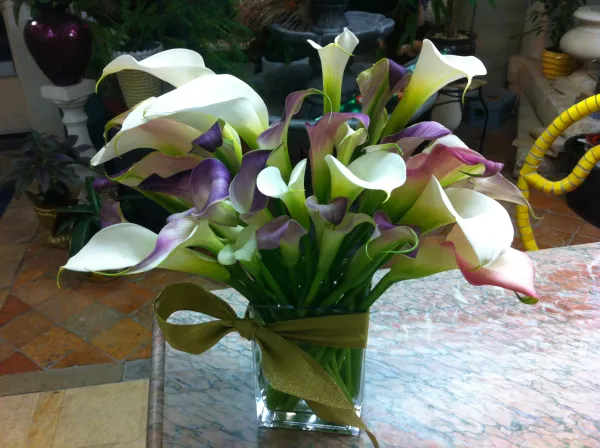 Calla Lily Fantasy Bouquet - Click Image to Close