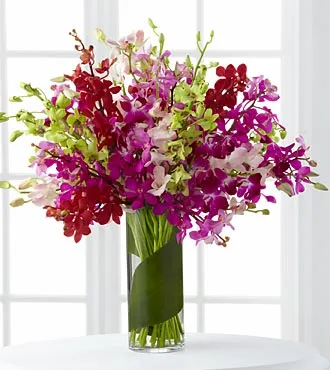 Luminous Luxury Orchid Bouquet - Click Image to Close