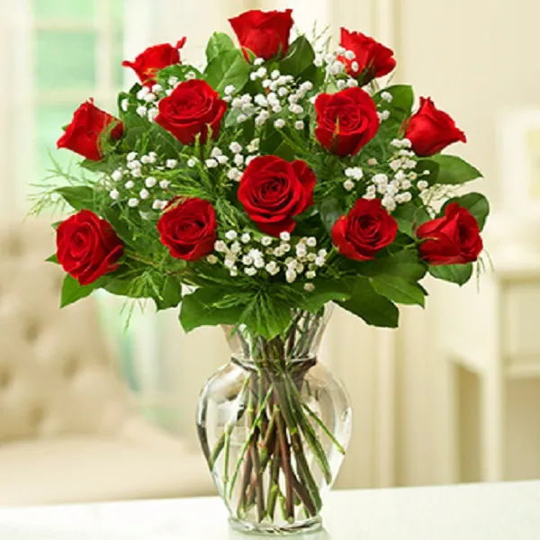 12 Red Roses With Baby Breath - Click Image to Close
