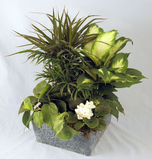 Tranquility Planter - Click Image to Close