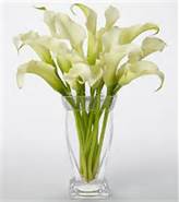 White Calla Lily Bouquet - Click Image to Close