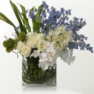 The Blue And White Arrangement