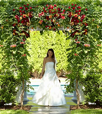 The Arbor Of Love Archway - Click Image to Close
