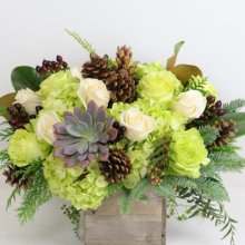(image for) Holiday Succulent Bouquet