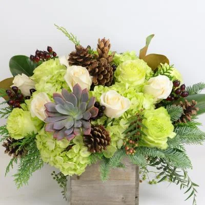 (image for) Holiday Succulent Bouquet