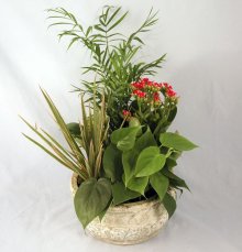 (image for) European Stone Garden