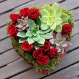 (image for) Succulent Heart