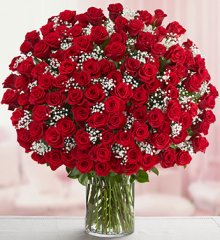(image for) The 100 Red Roses in a Vase