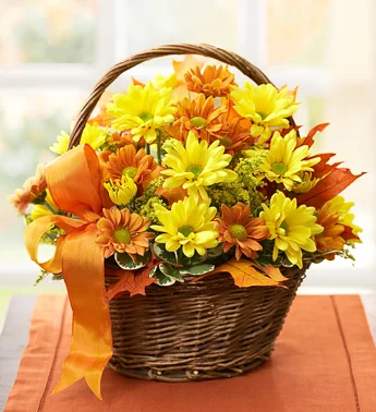 (image for) Fall Daisy Basket