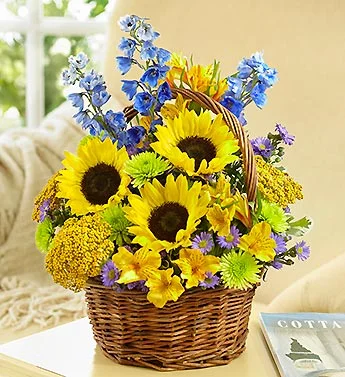 (image for) The Summer Basket