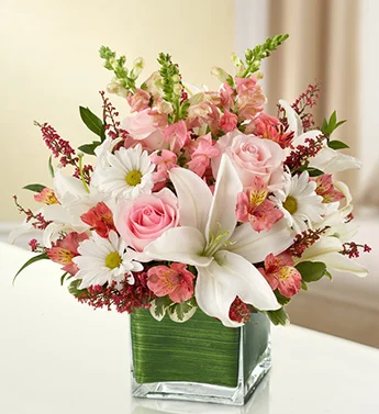 (image for) Pink and White Cube