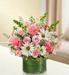 (image for) Pink and White Cherished Memories