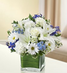 (image for) Blue and White Simplicity Cube