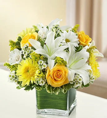 (image for) Healing Tears - Yellow