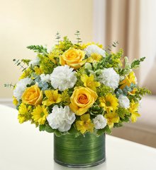 (image for) Yellow Cherished Memories