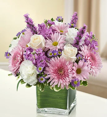 (image for) Lavender and White Cube