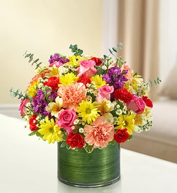 (image for) Multicolor Cherished Memories