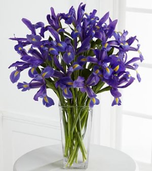 (image for) Iris Riches Bouquet