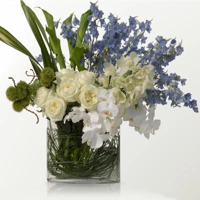 (image for) The Blue And White Arrangement