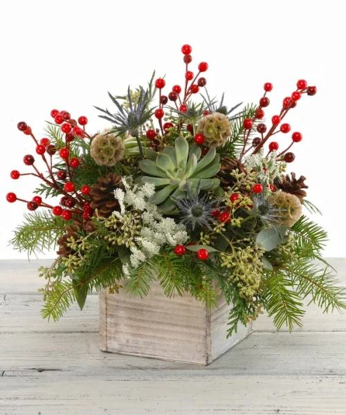 (image for) Winter Succulent Box