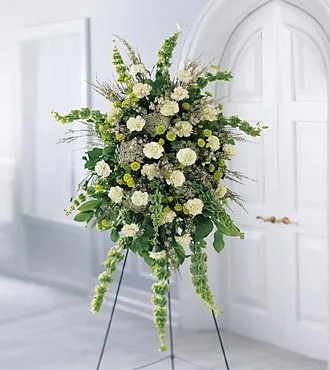 (image for) The Splendor Standing Spray