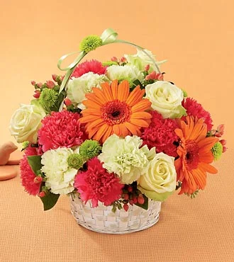 (image for) The Best Year Basket