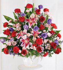 (image for) Solace Arrangement