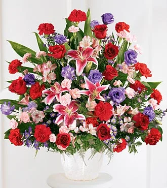 (image for) Solace Arrangement