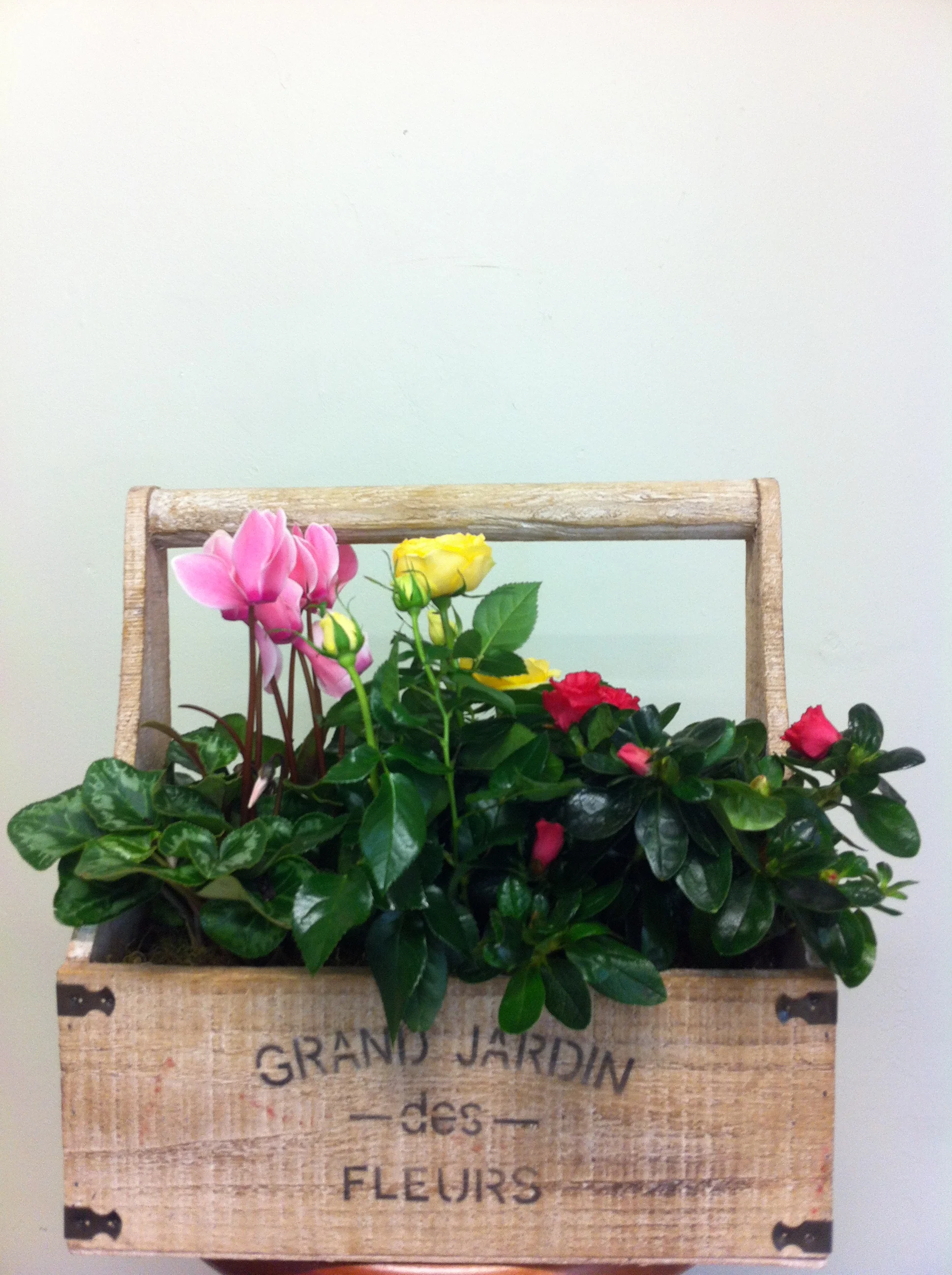 (image for) French Dish Garden
