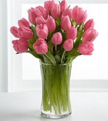 (image for) Pink Prelude Tulip Bouquet- 20 Stems