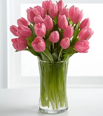 (image for) Pink Prelude Tulip Bouquet- 20 Stems