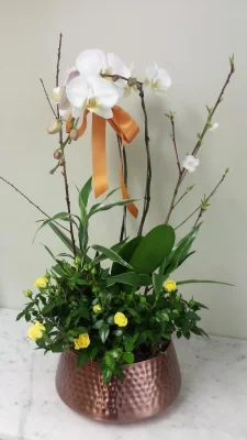 (image for) Floral Orchid Garden Planter