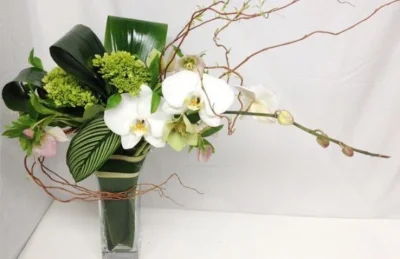 (image for) Orchid Phenomenon Bouquet