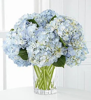 (image for) Joyful Inspiration Bouquet