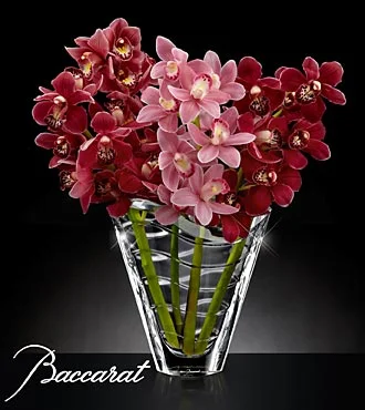(image for) Truly Captivating Cymbidium Orchid bouquet