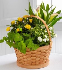 (image for) Cheerful Wishes Blooming Basket