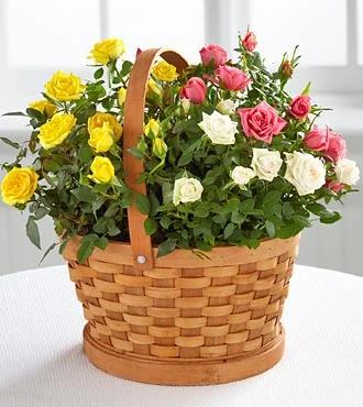 (image for) Rose Garden Basket