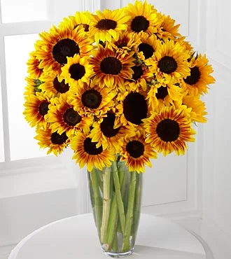 (image for) Luminous Bouquet