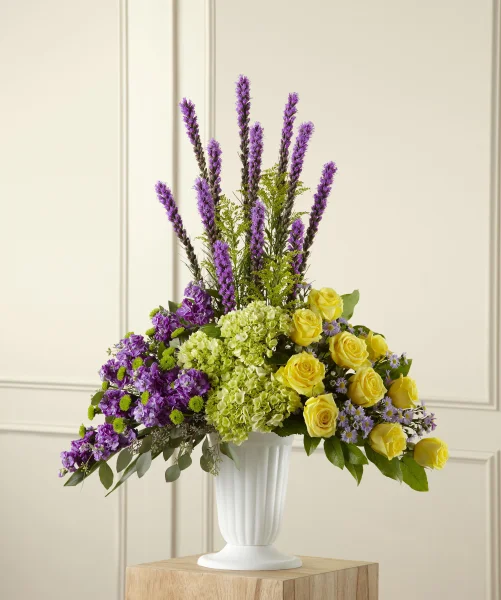 (image for) Affection Arrangement