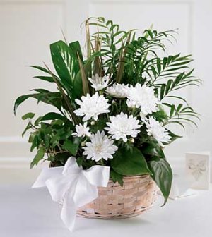 (image for) The Peaceful Garden Basket