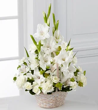 (image for) Affection and Peaceful Arrangement