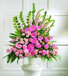 (image for) Splendid Grace Arrangement