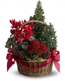 (image for) Tannenbaum Basket