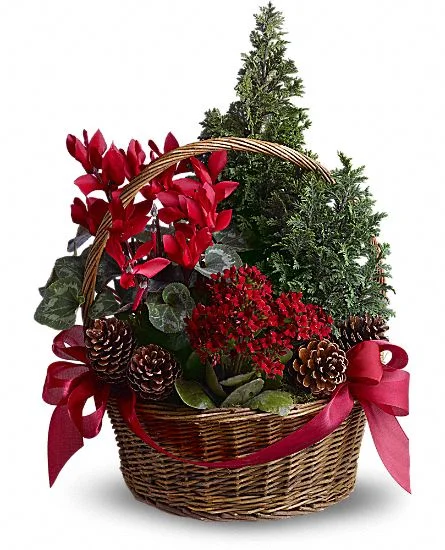 (image for) Tannenbaum Basket